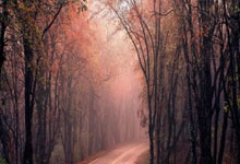 马德兴:国足多人伤病停赛累及下场 直接影响中澳之战.