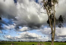 记者:阿莫林不反对出售奥纳纳;瓦拉内:在曼联.