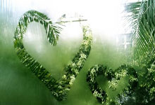 九游会:阿特金森:没想过60胜&这不是最终目标 但可以喘口气庆祝一下.