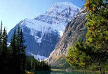 新加坡水上运动世锦赛吉祥物公布 SG60游泳挑战启动.